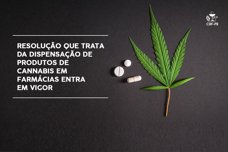 resolucao-que-trata-da-dispensacao-de-produtos-de-cannabis-em-farmacias-entra-em-vigor